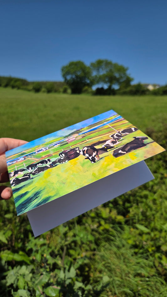 Old Head Cows, Kinsale