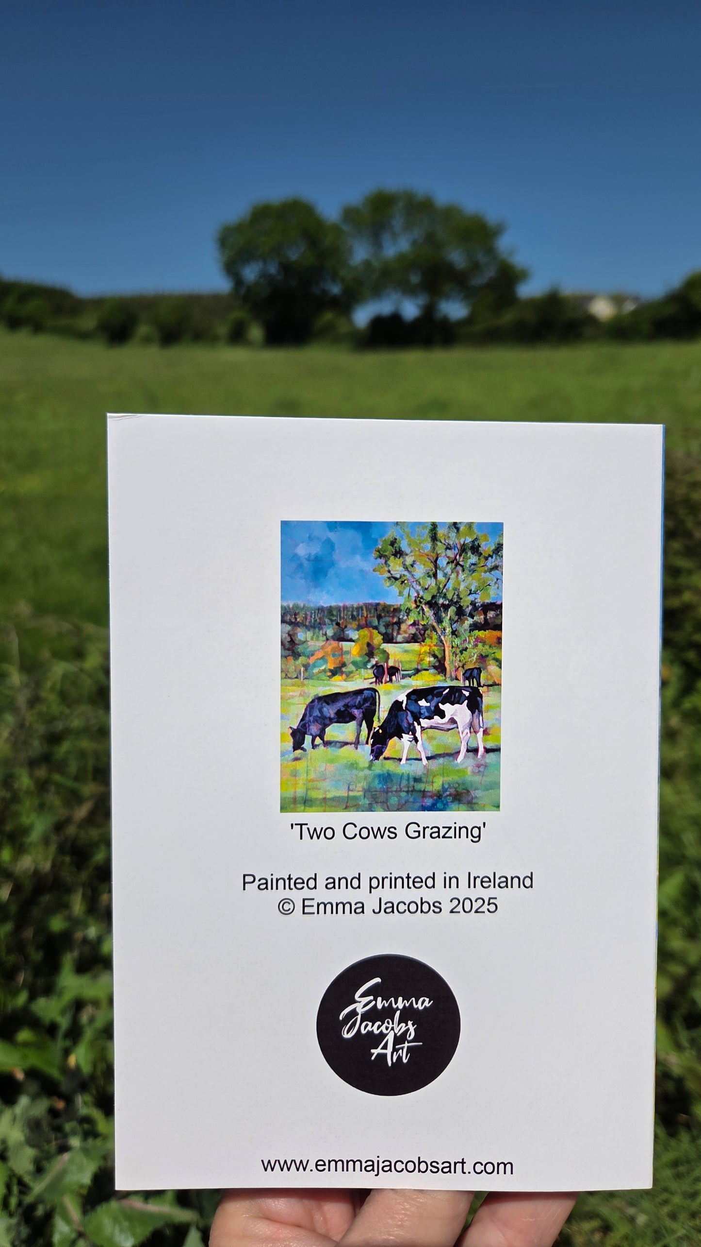 Two Cows Grazing
