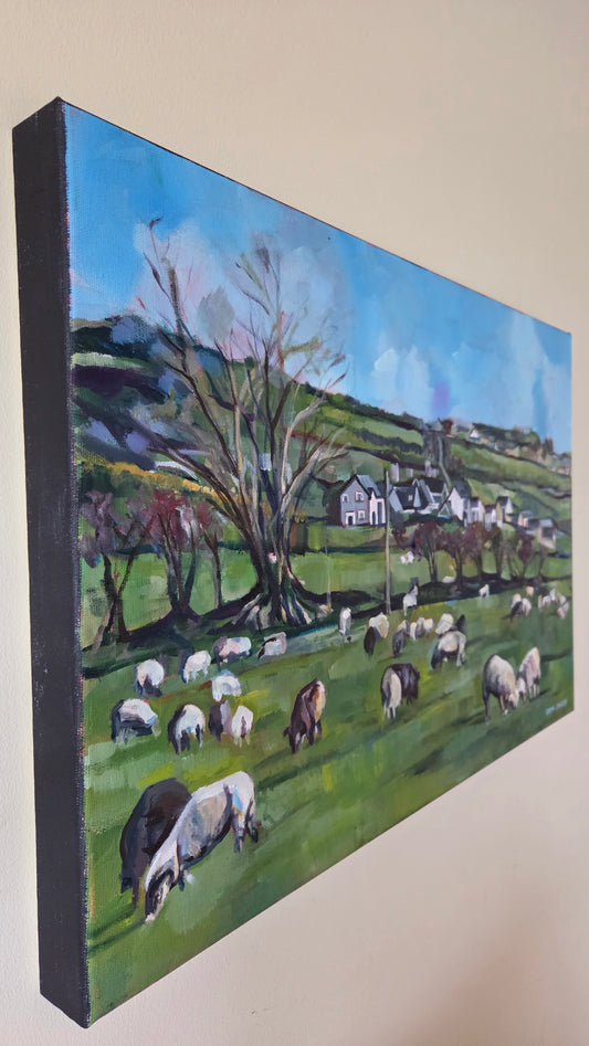 Crossbarry Sheep