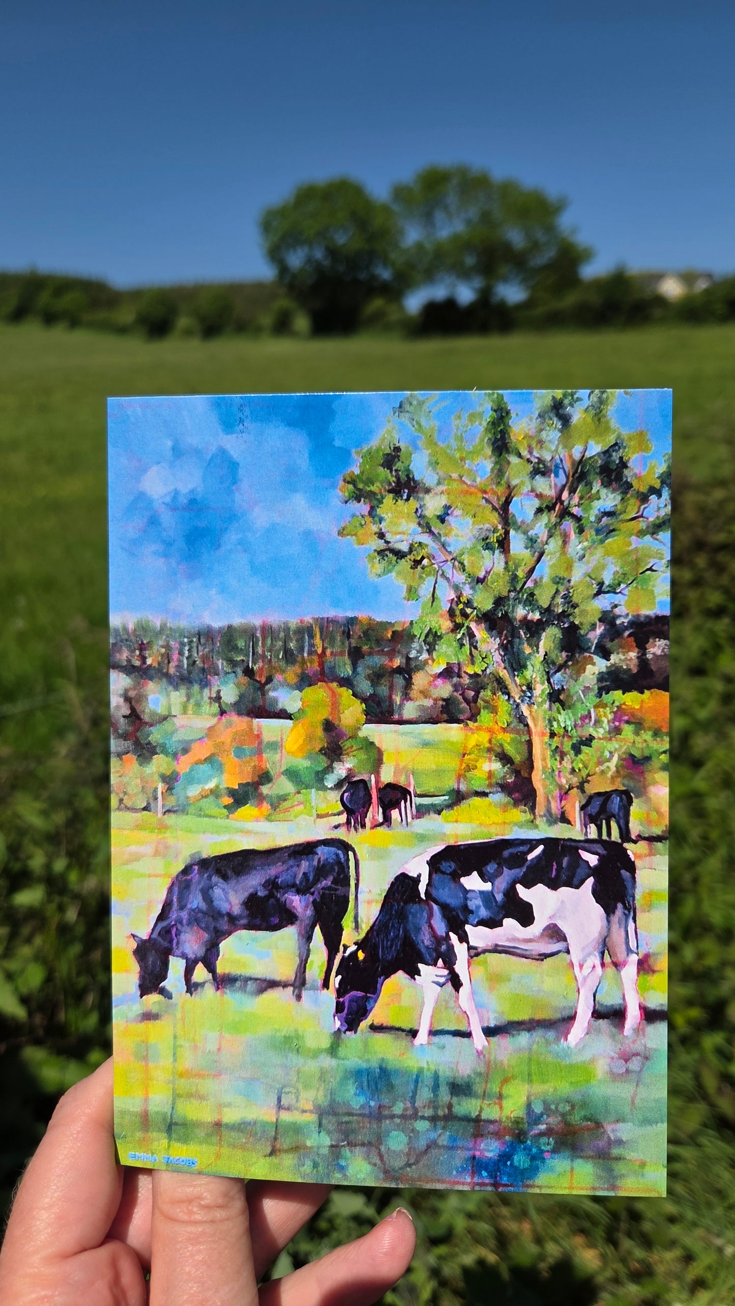 Two Cows Grazing