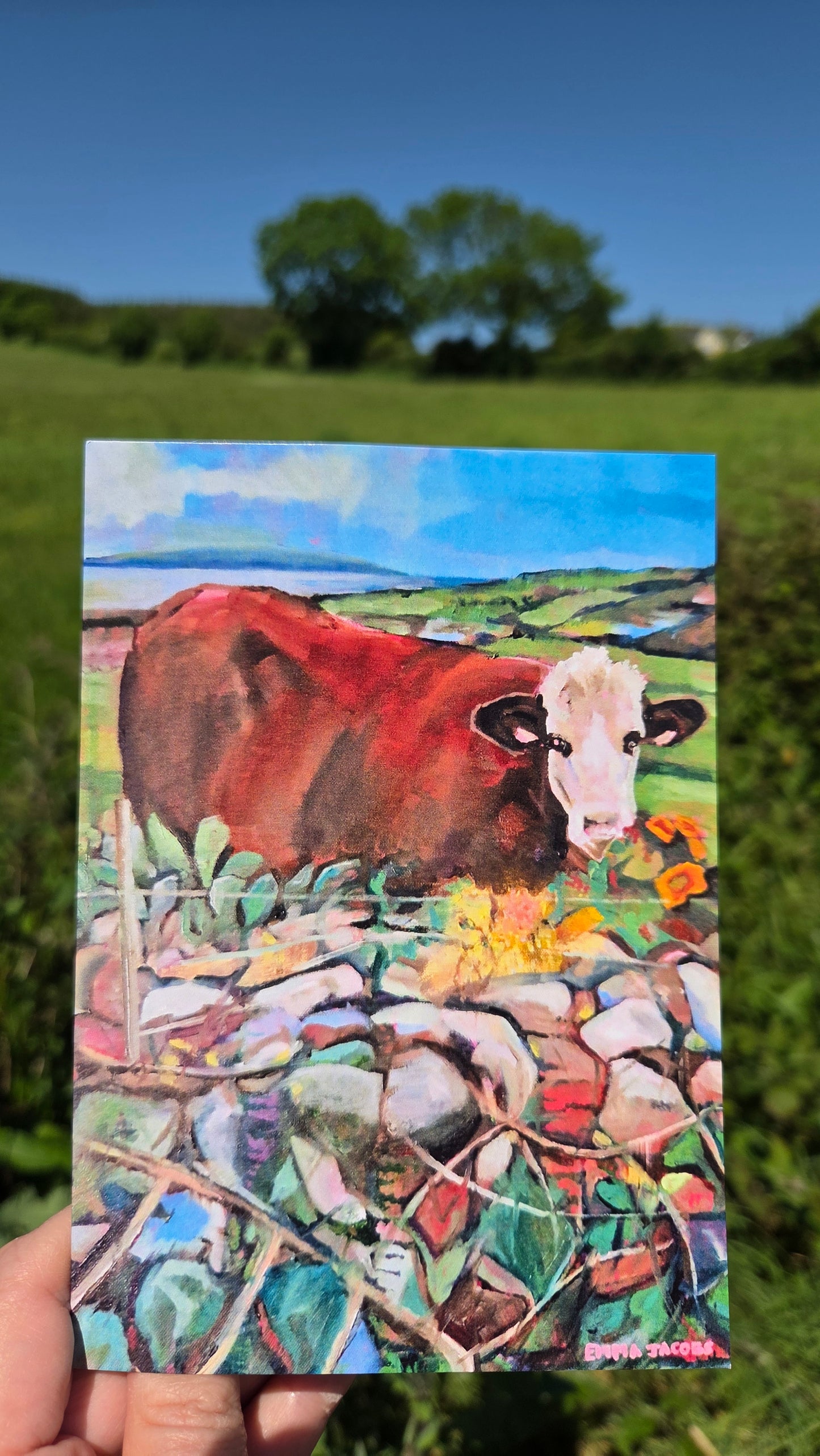 Cow over the Wall