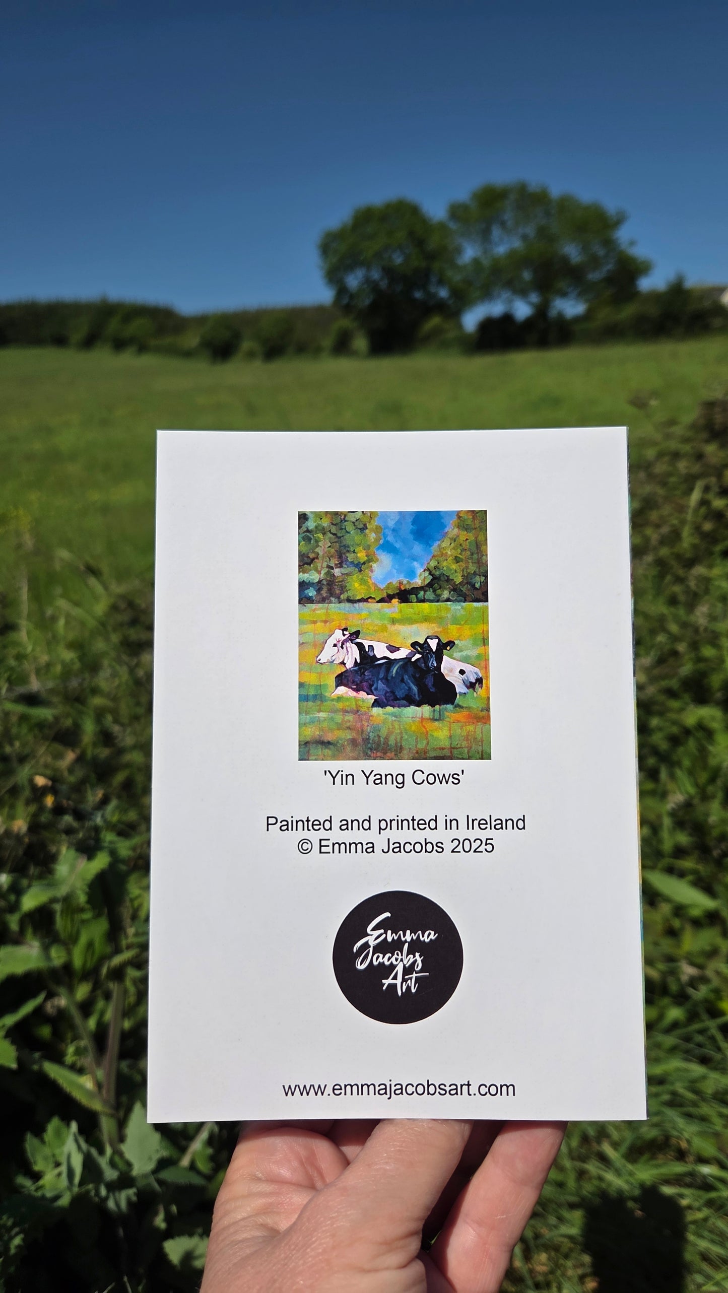 Yin Yang Cows