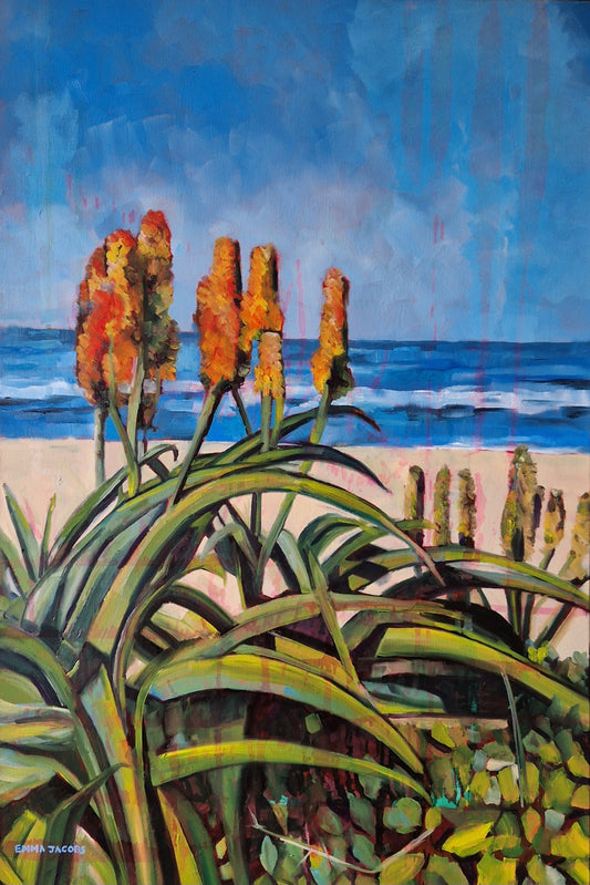 Aloes on the Beach