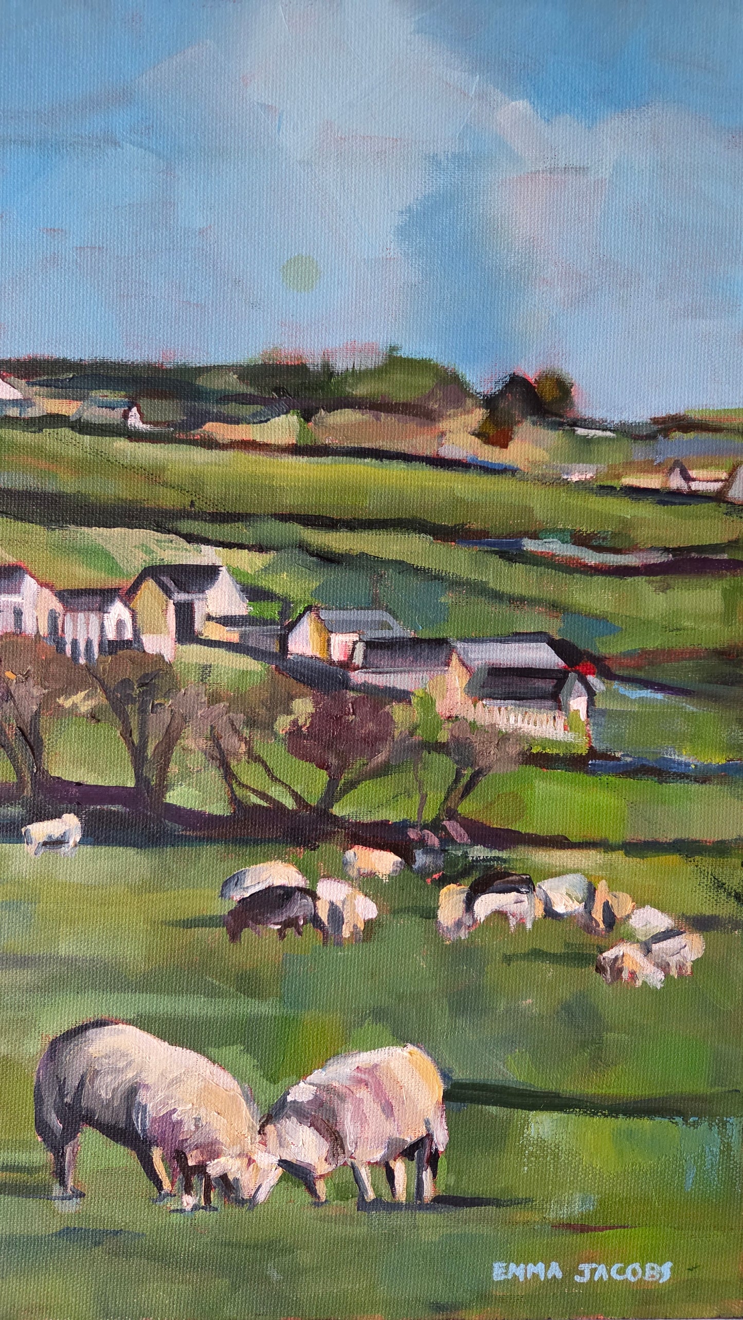 Crossbarry Sheep
