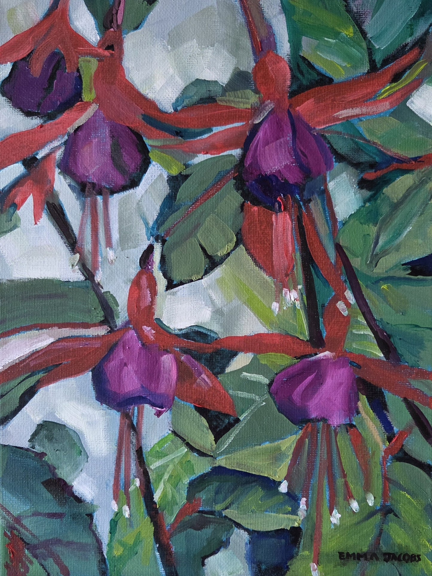 Dancing Fuchsias