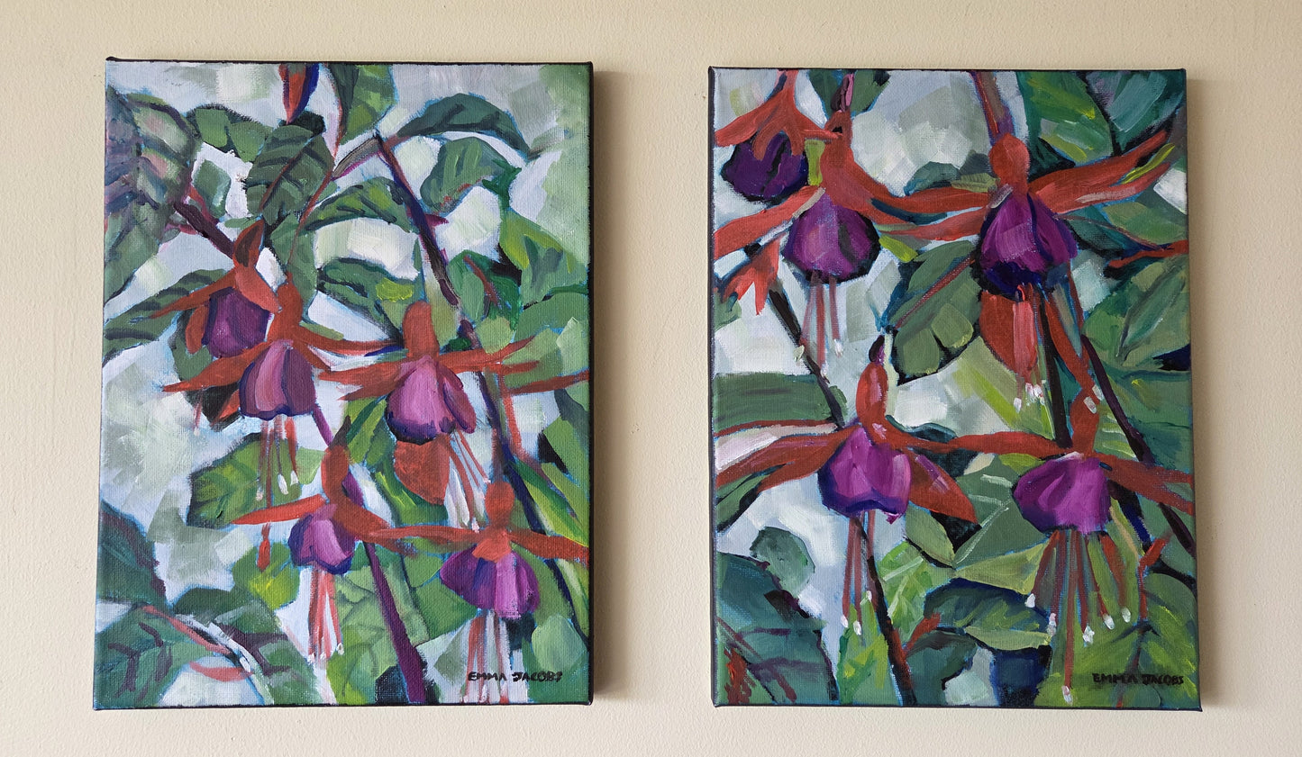 Flying Fuchsias