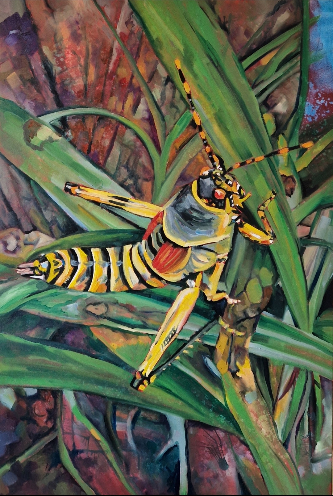 Original oil painting of an elegant grasshopper, nature study by Irish artist Emma Jacobs