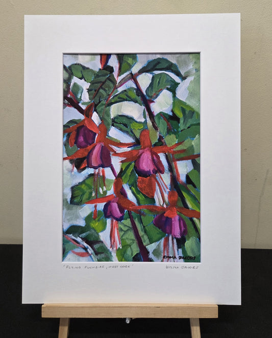 Flying Fuchsias, West Cork