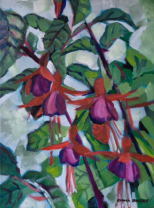 Flying Fuchsias