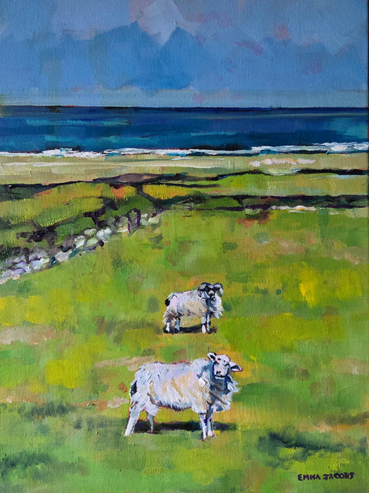 Kerry Sheep in the Wind