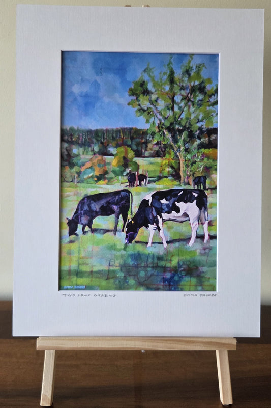 Mounted fine art print of two cows grazing in the Irish countryside, by Emma Jacobs