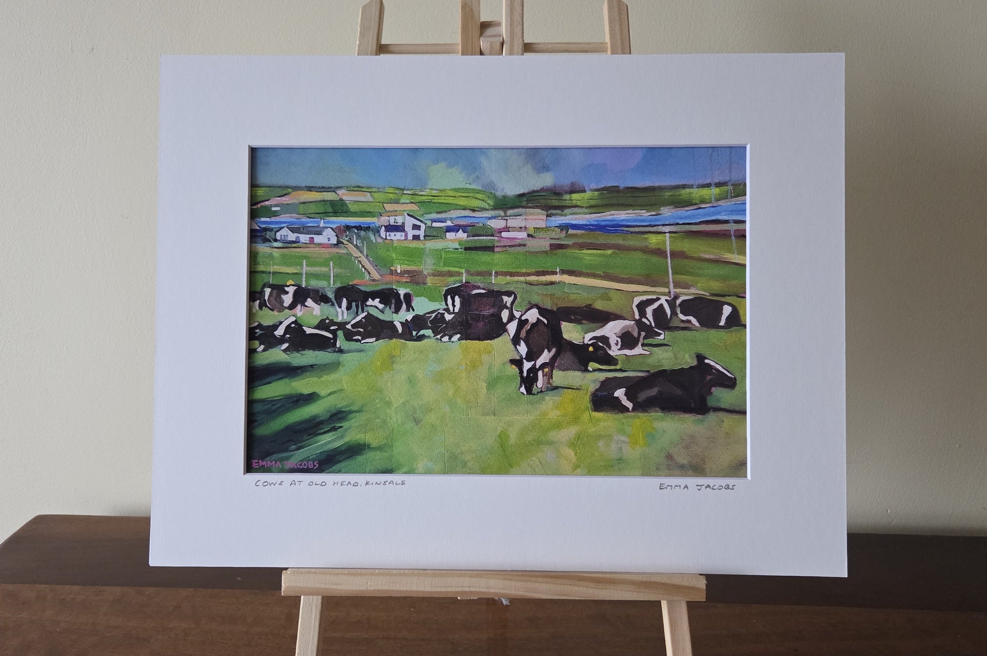 Mounted fine art print of cows at Old Head, Kinsale, West Cork, Ireland, by Emma Jacobs