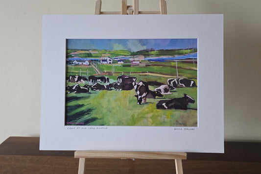 Mounted fine art print of cows at Old Head, Kinsale, West Cork, Ireland, by Emma Jacobs